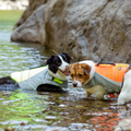 Fashionable Waterproof Dog Life Jacket