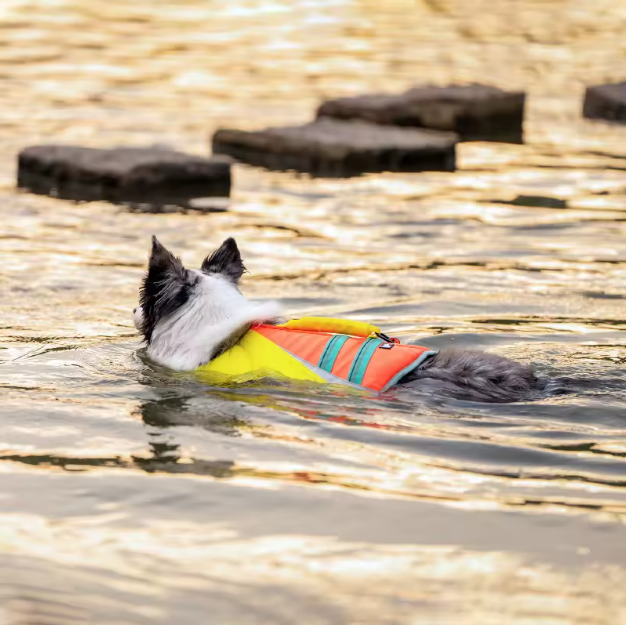 Fashionable Waterproof Dog Life Jacket